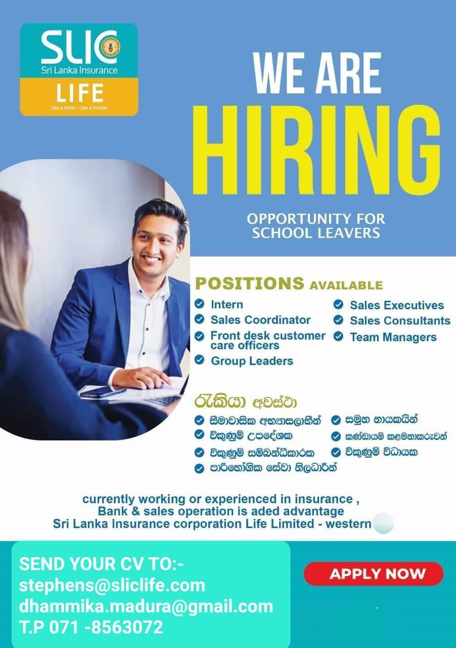advertisement picture