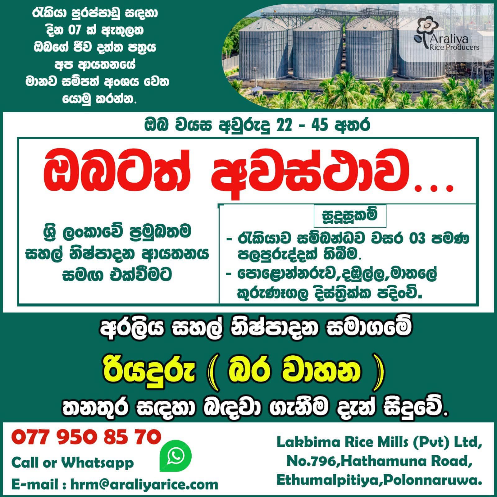 advertisement picture