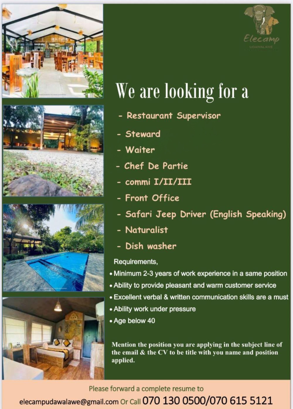 advertisement picture