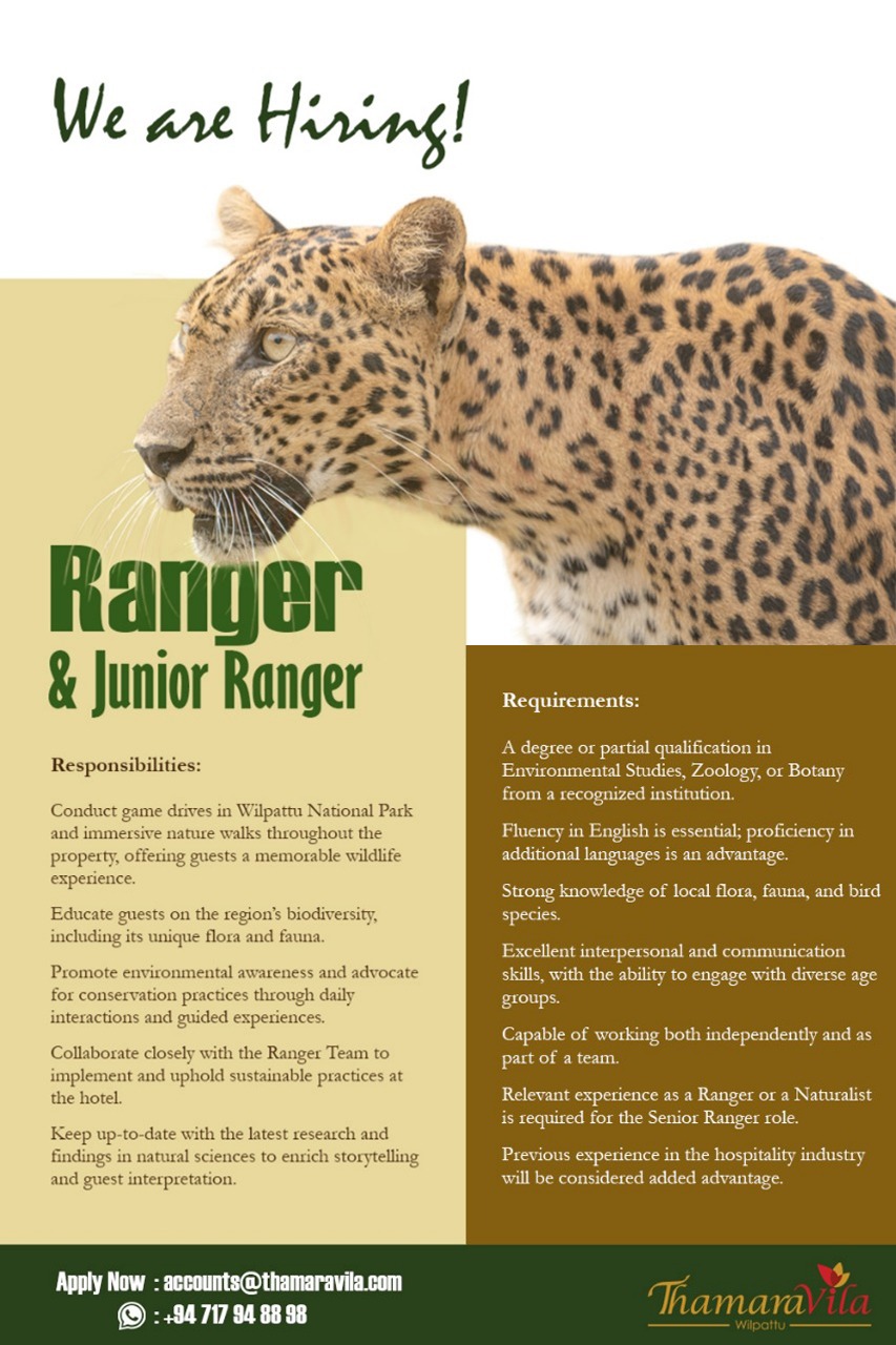 advertisement picture