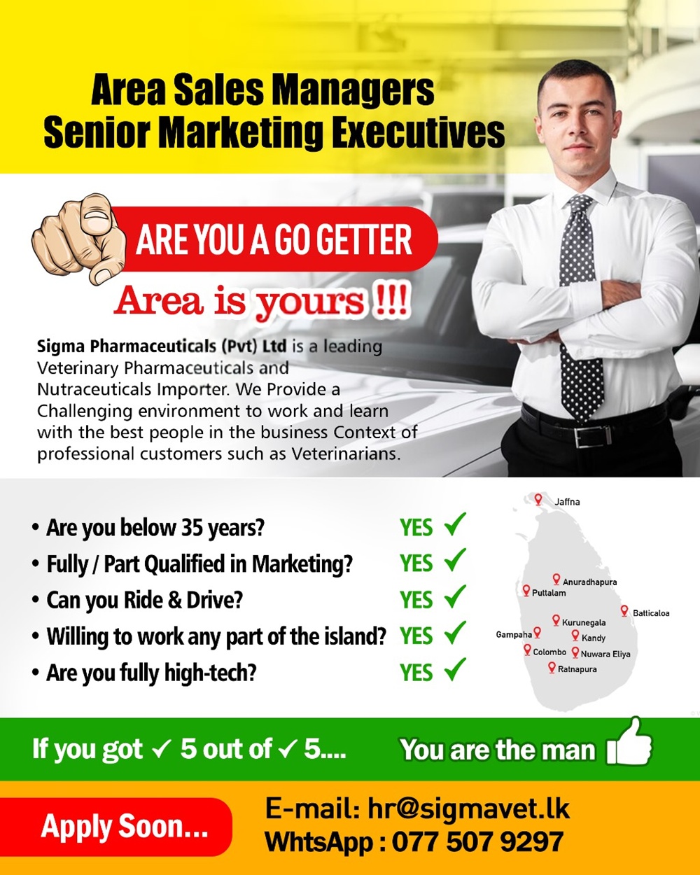 advertisement picture