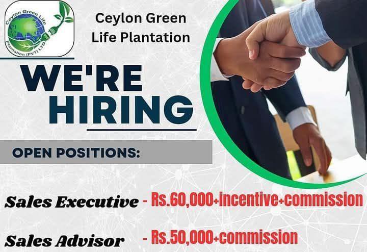 advertisement picture