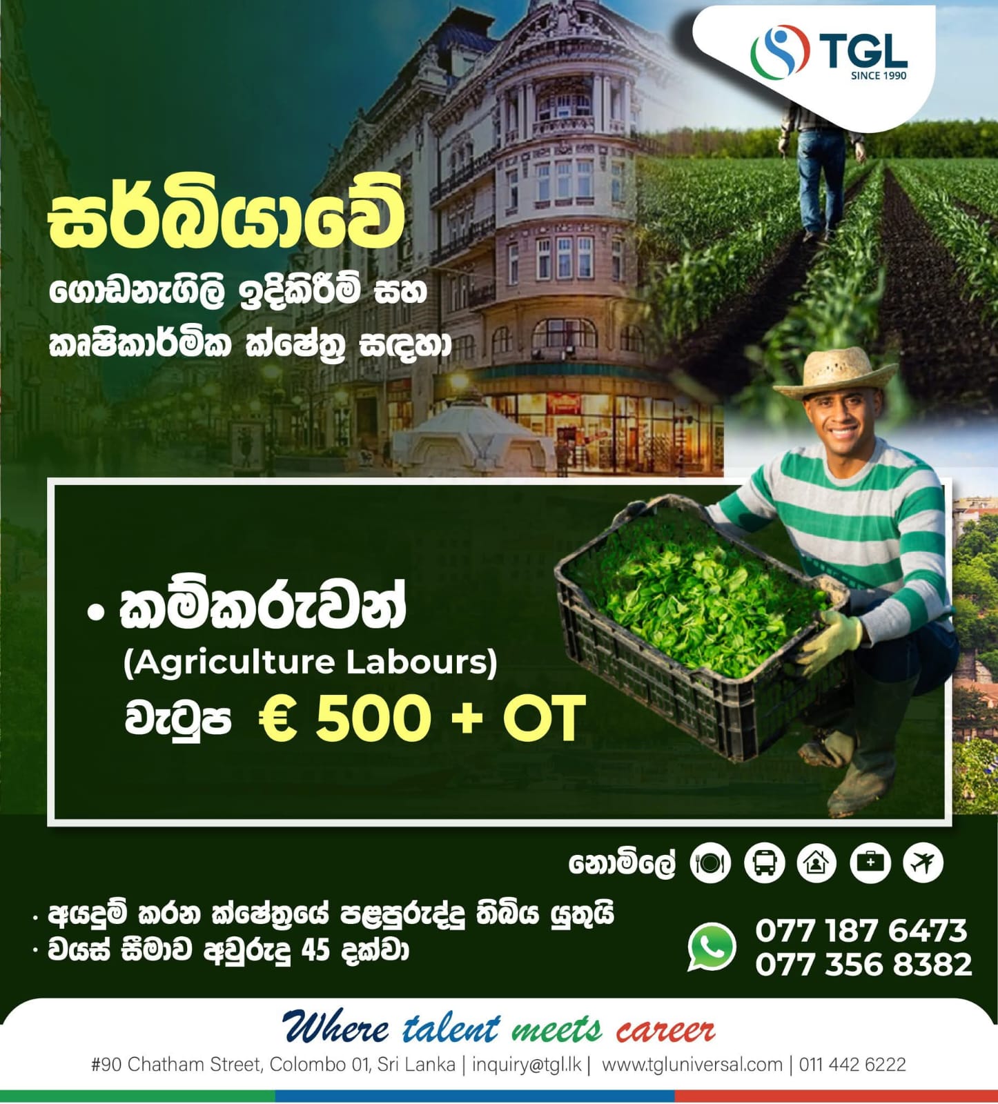 advertisement picture