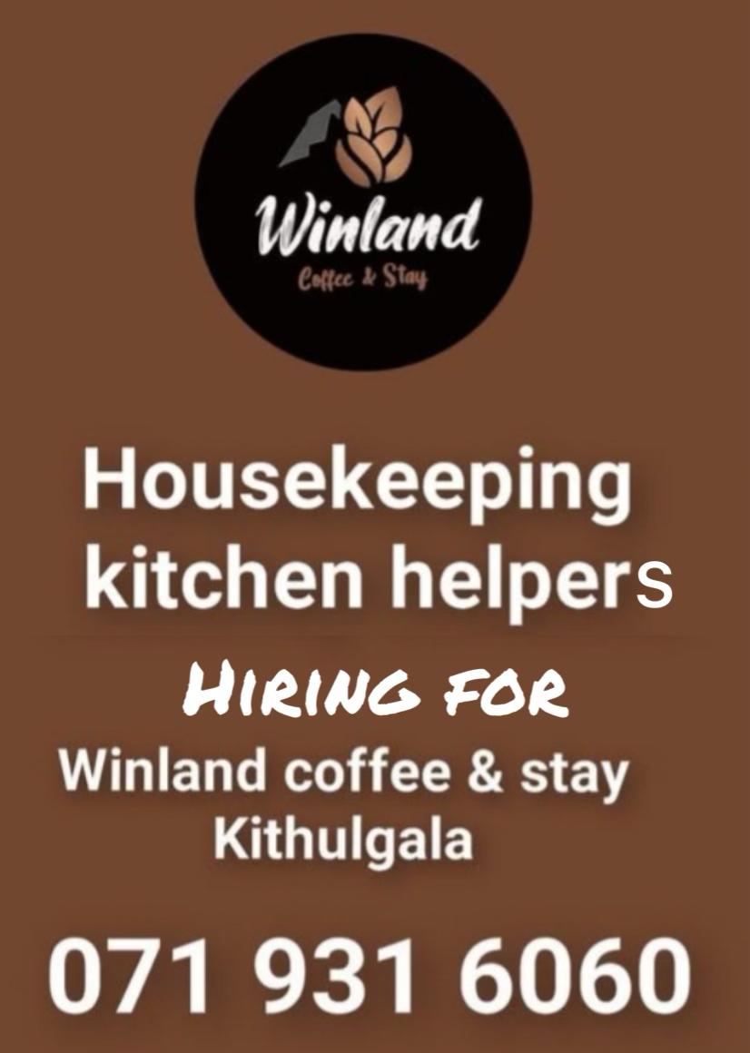 advertisement picture