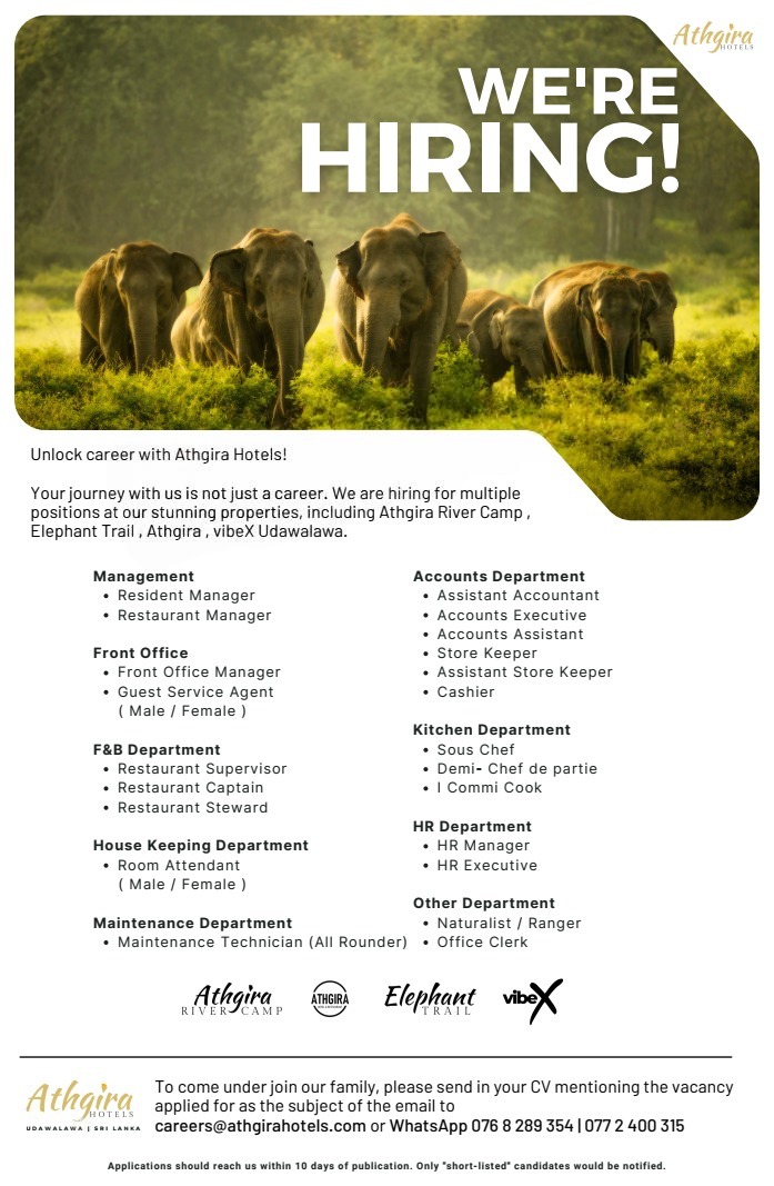 advertisement picture