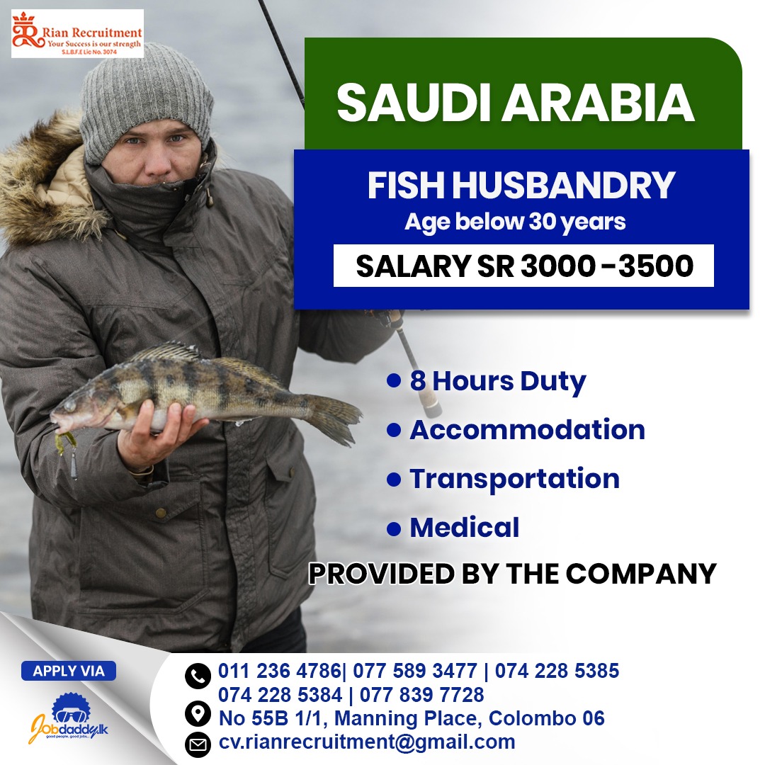 advertisement picture