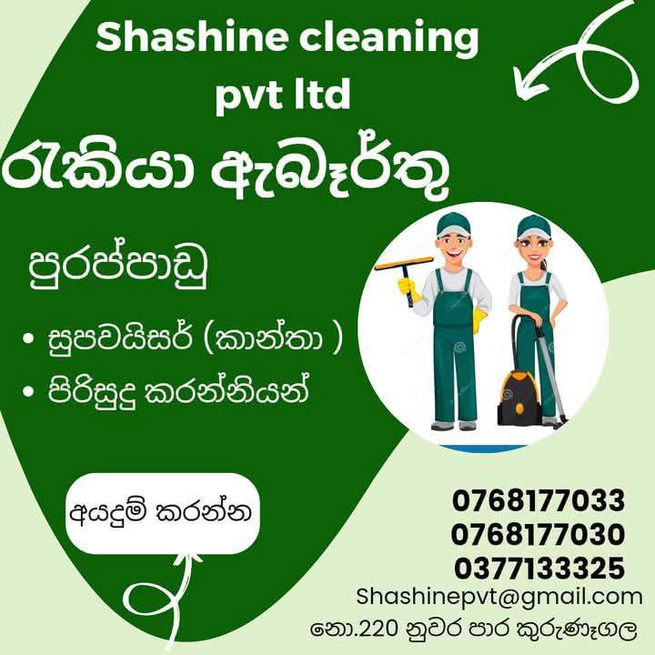 advertisement picture