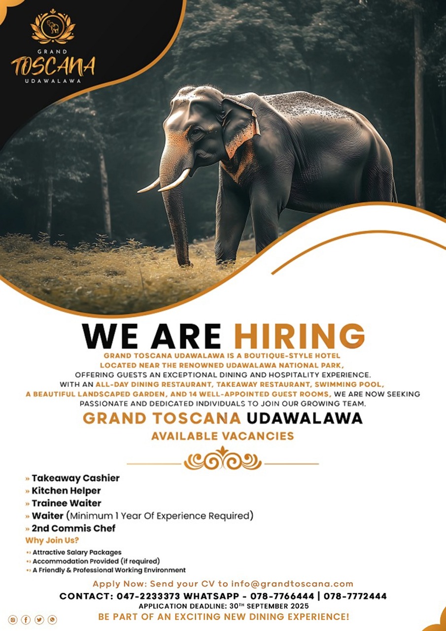 advertisement picture