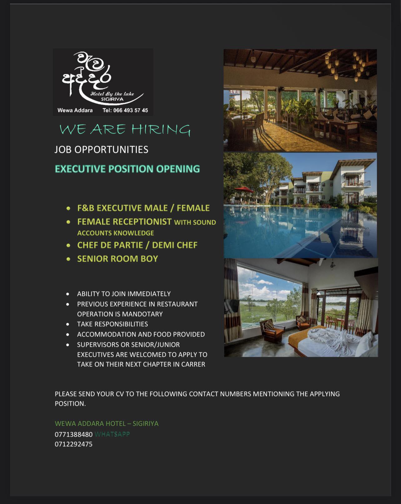 advertisement picture