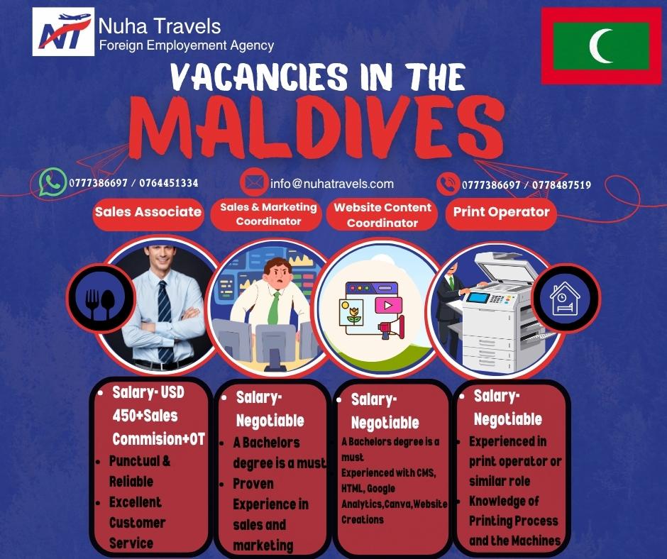 advertisement picture