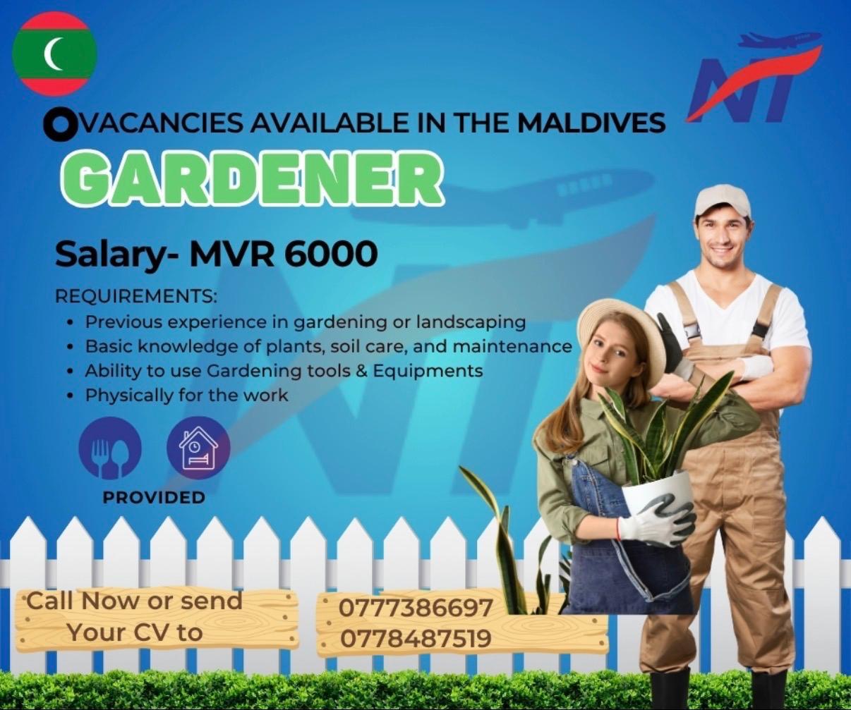 advertisement picture