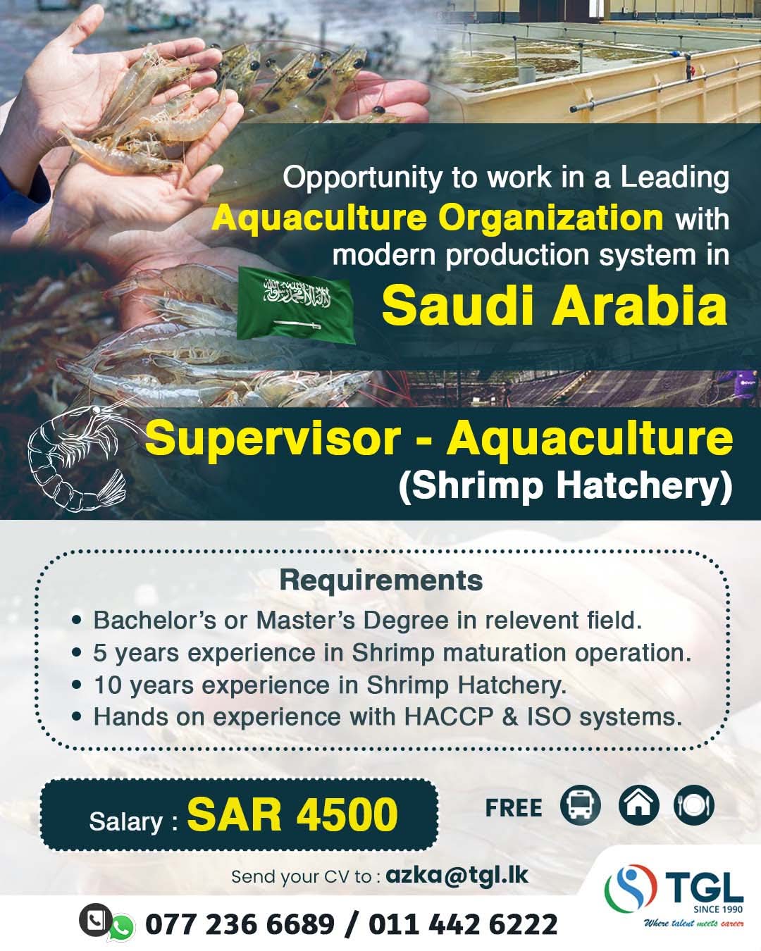 advertisement picture