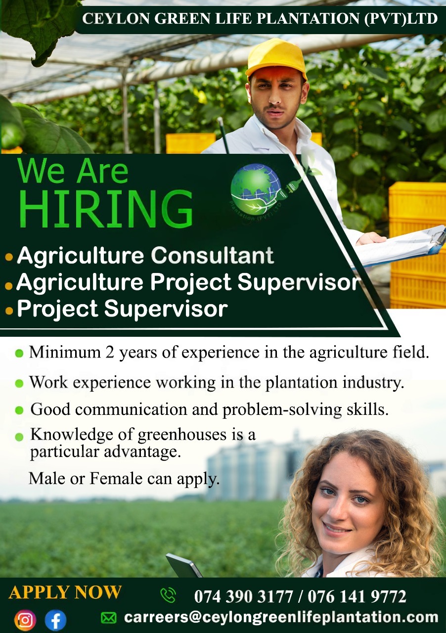 advertisement picture