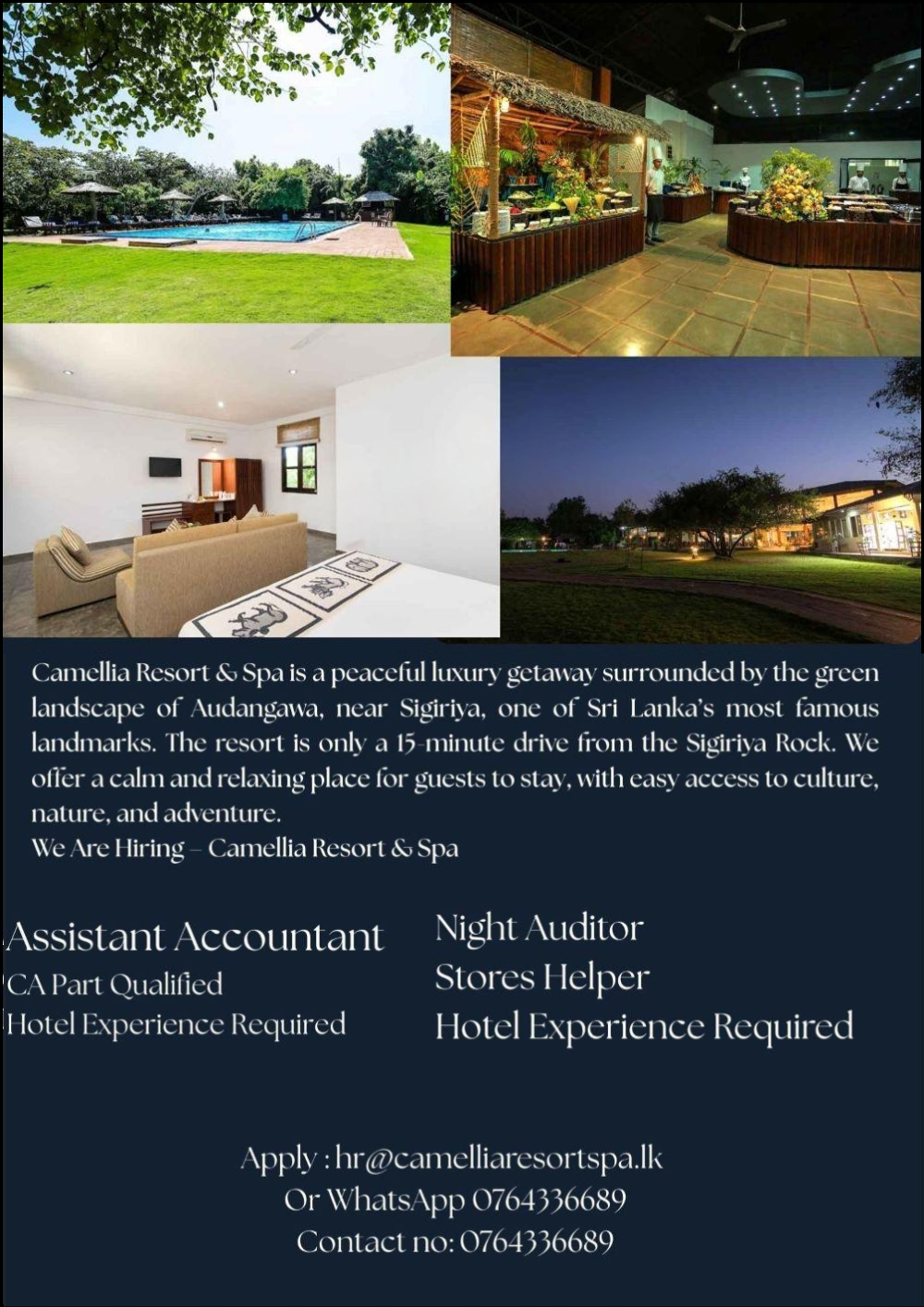 advertisement picture