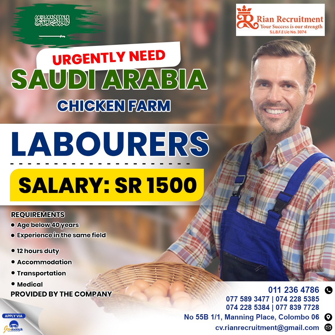 advertisement picture