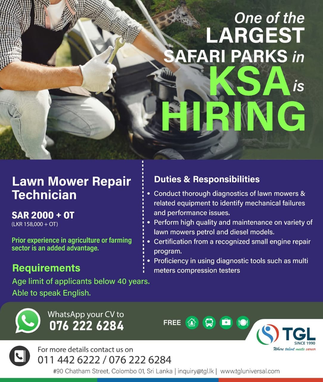 advertisement picture