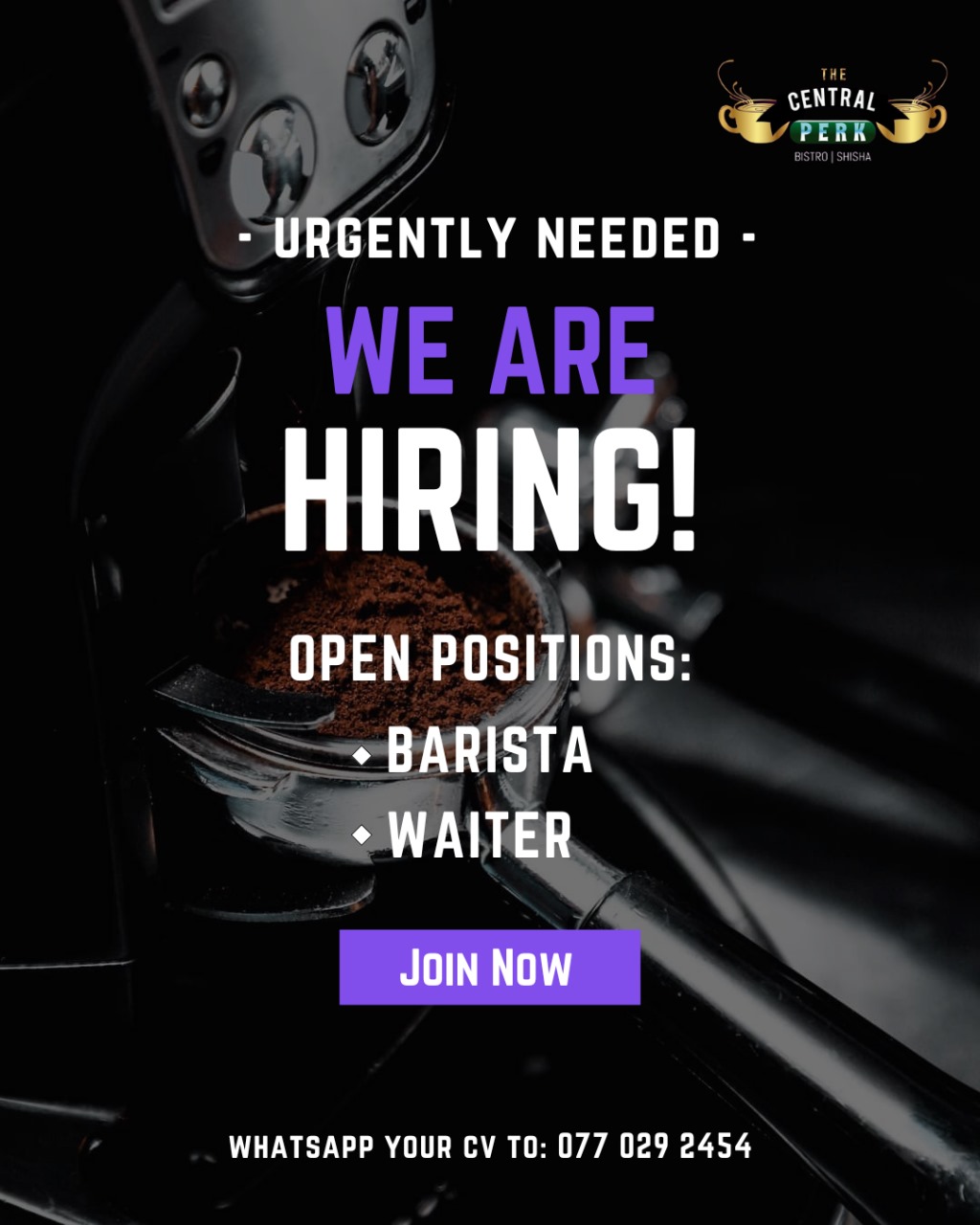 advertisement picture