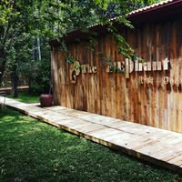 The Elephant Next Door logo