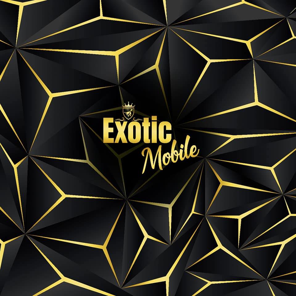 Exotic Mobiles (pvt)  Ltd logo