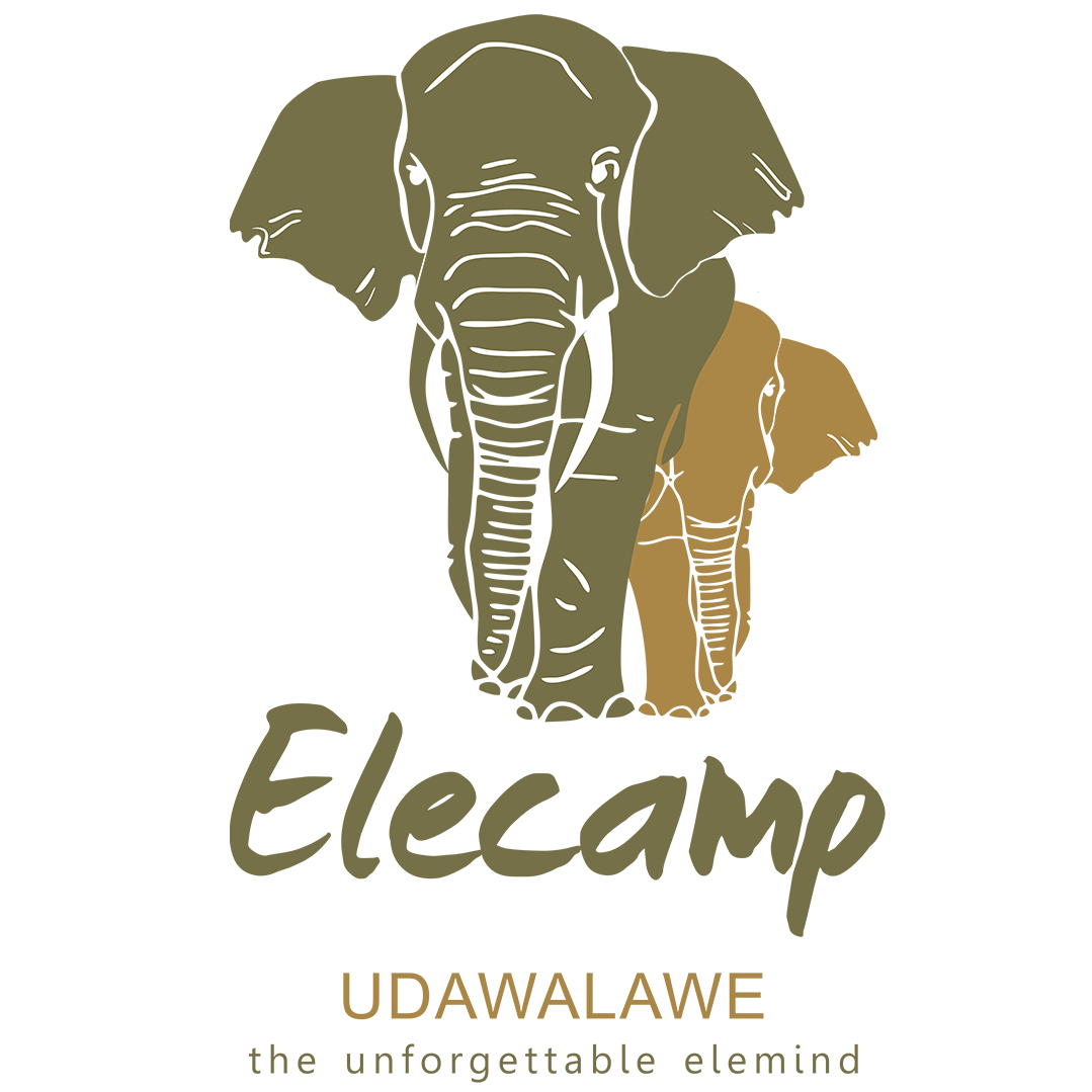 EleCamp logo