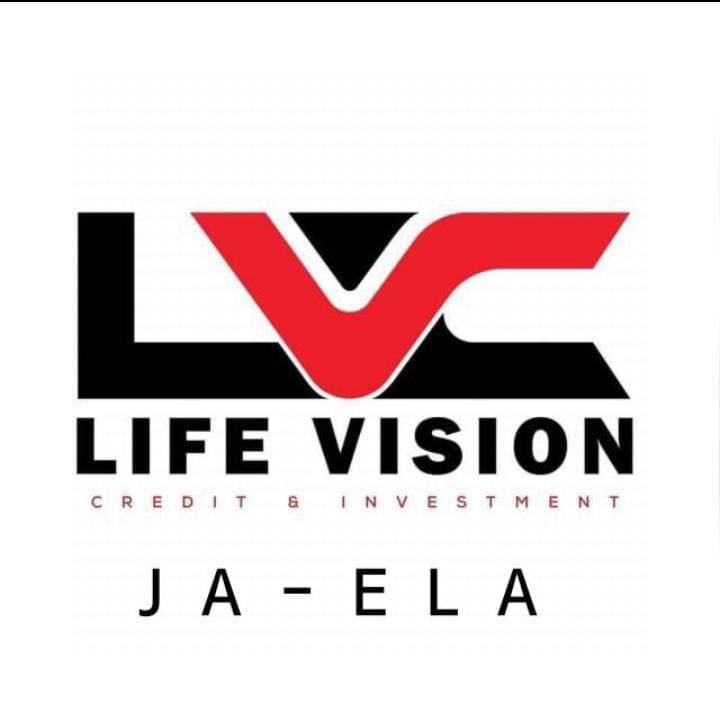Life Vision Credit & Investment logo