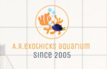 A.R. Exothicks logo