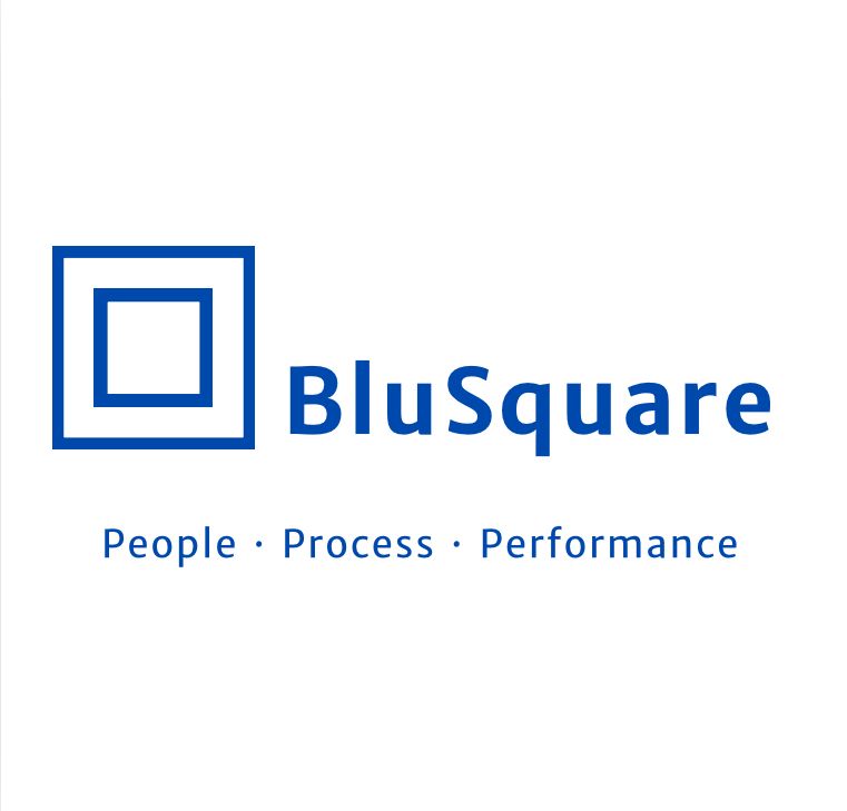BluSquare Solutions Pvt Ltd logo