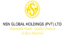 NSN Global Holdings Pvt Ltd logo